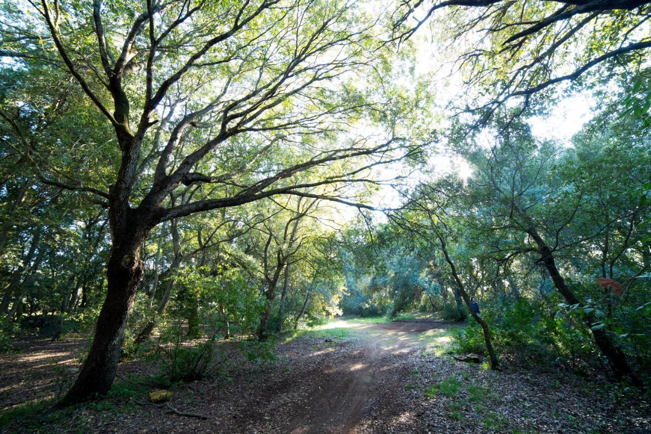 Tenuta Monacelli * Lecce