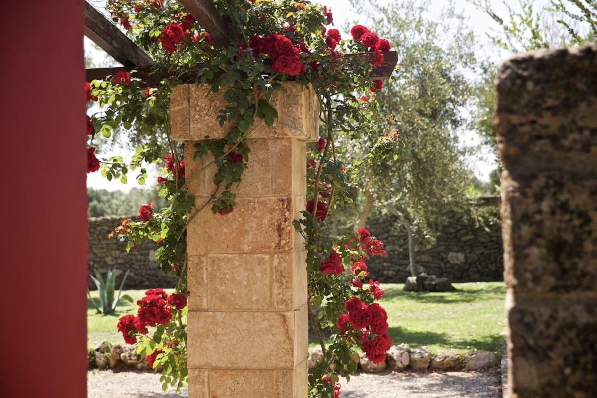 Tenuta Monacelli