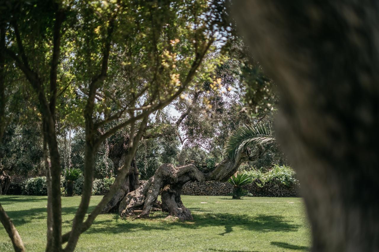 Tenuta Monacelli Séjour à la campagne Lecce